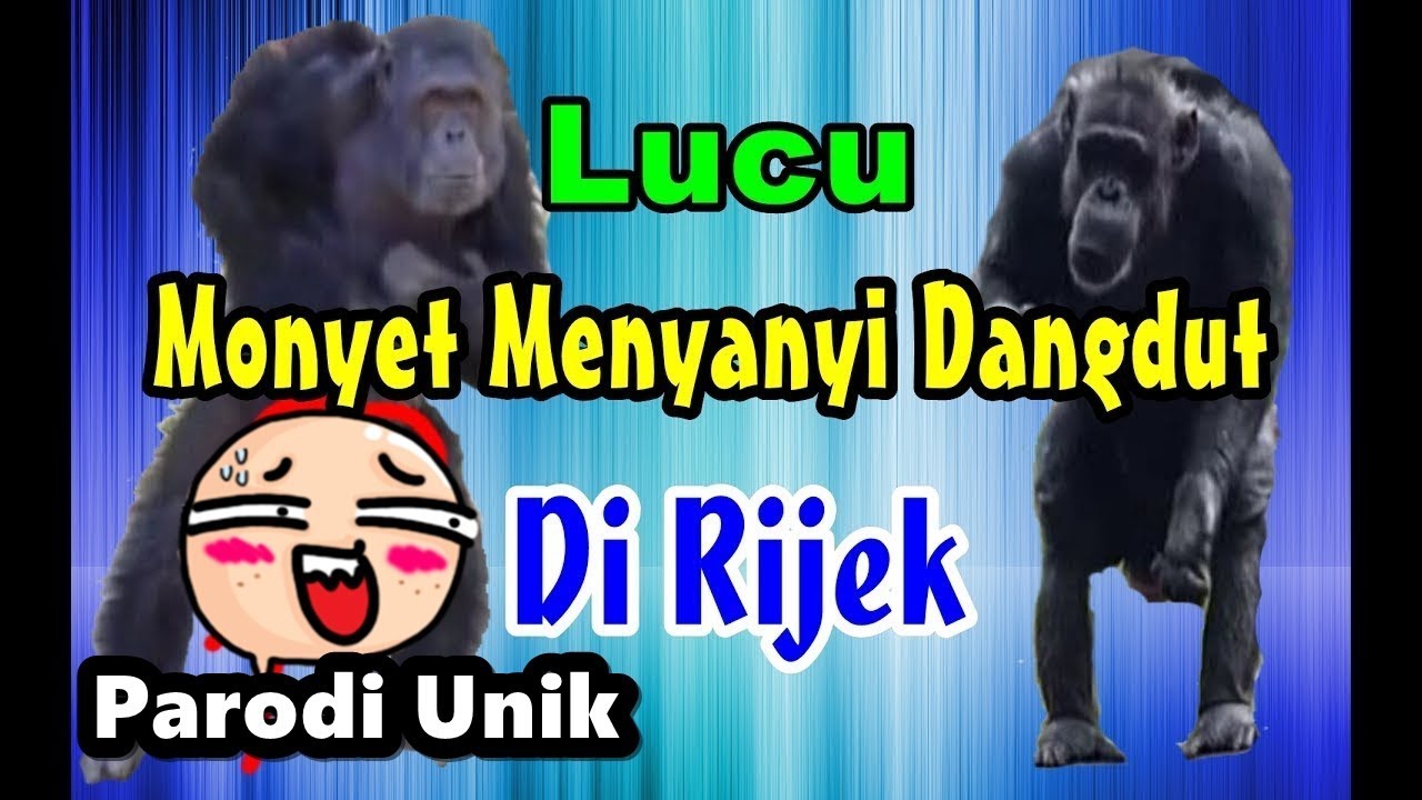 Monyet Nyanyi Dan Joget Parodi Dangdut Di Rijek Koplo Jenita