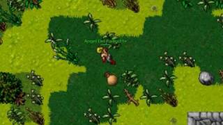 Amazon Camp - Venore