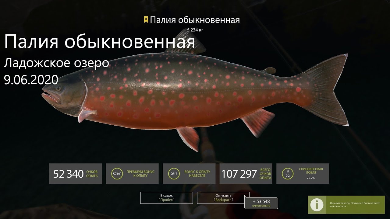 Рыбалка 4 Ю Интернет Магазин