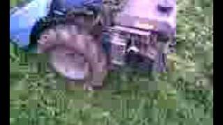 bcs sgarfando parte 1