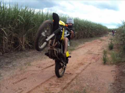 Andrezinho tornado no grau youtube Grau