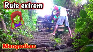 Download Lagu Mengerikan ‼️ Rute Extrem  Bikin merinding,yang takut ketinggian skip aja MP3