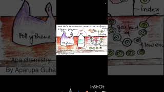 polymer Chemistry #chemistry #csirnet #physics #polymerchemistry #gate2027 #wbset2026 #shorts