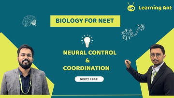 Neural Control and Coordination | Neuron | Action Potential | NEET | BOARDS | 11TH Biology
