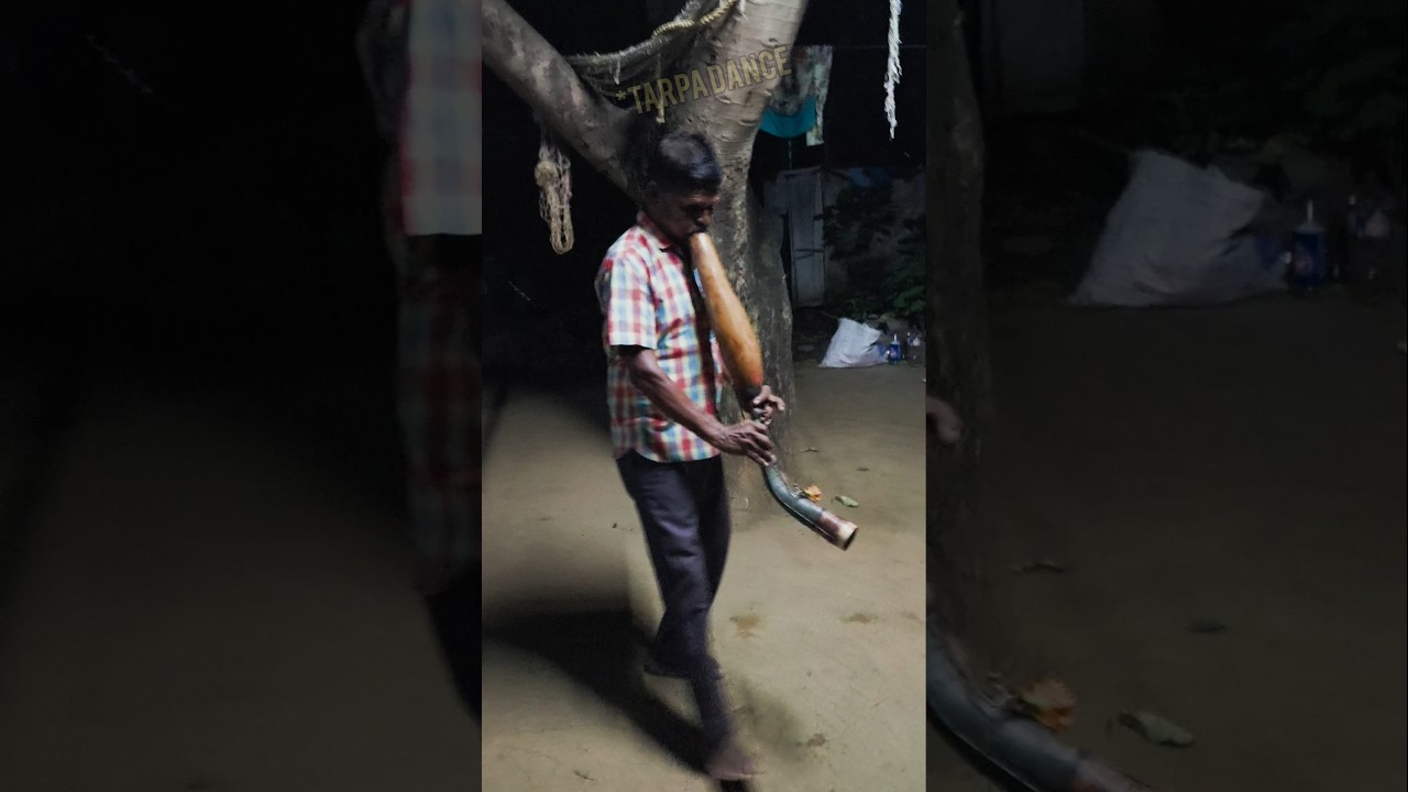 Diwali Festival Special | Tarpa Dance short video | 