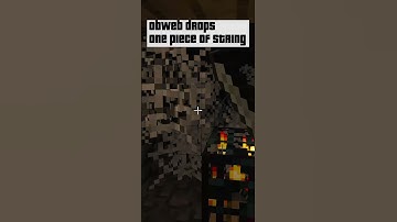 Found cobweb farm in Minecraft ! 🇺🇸 #shorts