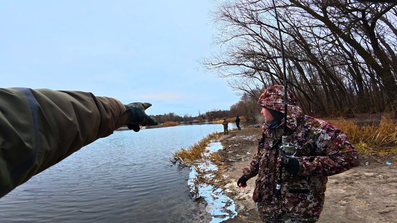 Драчи продолжают гонять рыбу