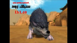 Recover_ Wolf from lvl39 to 40 (Silk Road Online)