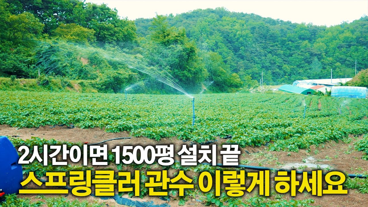 빠르고 간단하지만 강력한, 효과 만점 노지용 스프링클러 설치