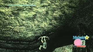 Shadow of the Colossus HD - Storm Echo, the 9th Colossus