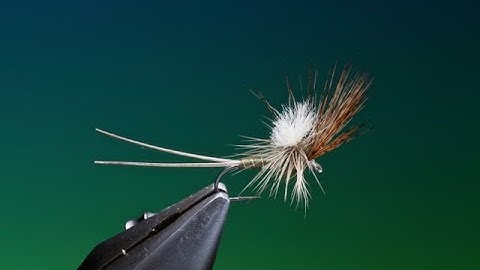Fly Tying a Luis Meana Baeza style mayfly with Barry Ord Clarke