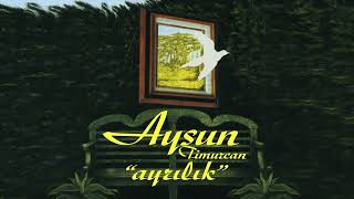 Aysun Timurcan - Lise Yılları (1984) Resimi