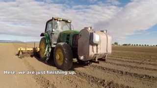 CPP 2014 Planting