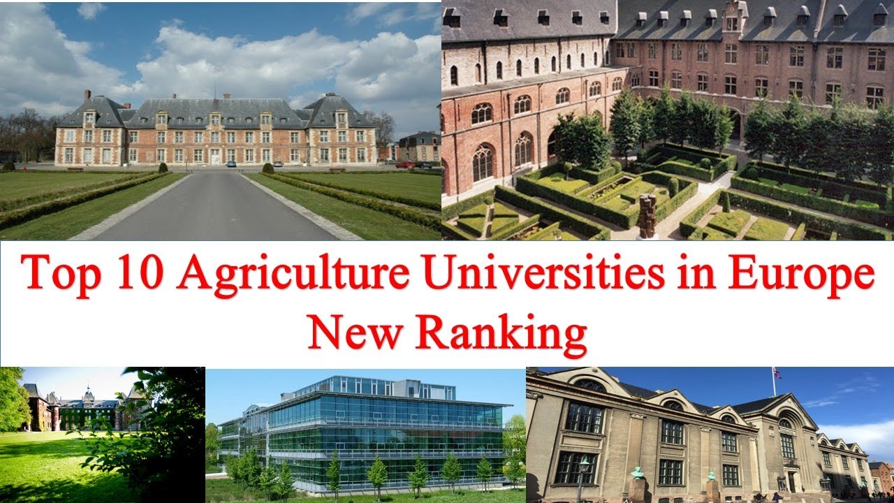 phd in agriculture economics in europe