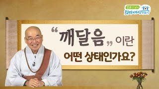 (en/Fr-sub) What Does It Mean to Be Enlightened? 깨달음이란 어떤 상태인가요?