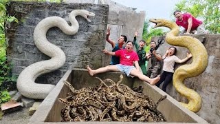 Top 3 videos of brave soldiers using high tech snake detectors to find giant python nests