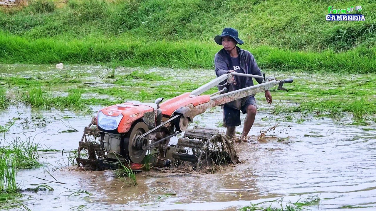 Tractor Kubota RT 140, Kubota Tractor Plowing Field, Famer In Cambodia