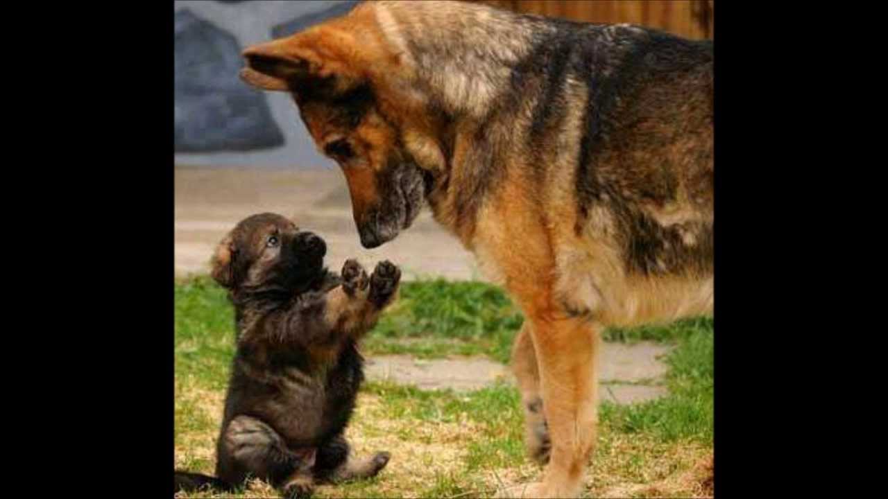 God Speaks by James Knapp