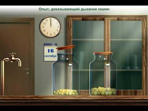 Биологический эксперимент ЕГЭ, ОГЭ. Опыт, доказывающий дыхание семян.
