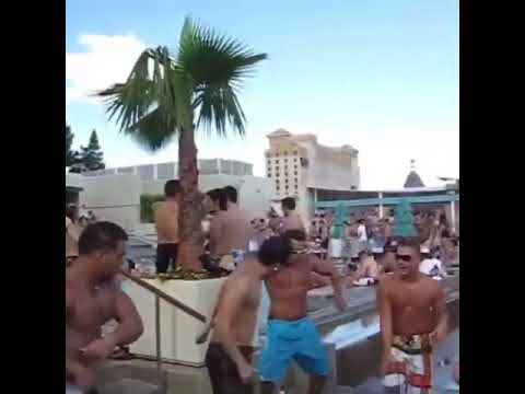 Watch The guido’s in their natural habitat on YouTube Watch The guido’s in their natural habitat on YouTube