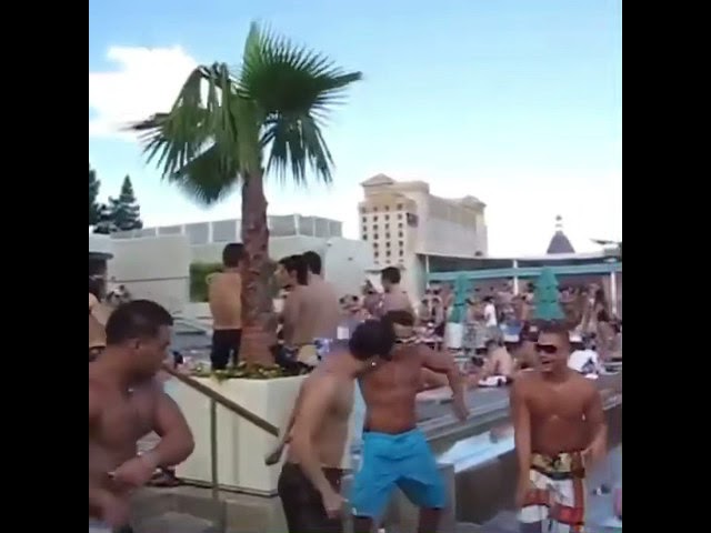 Mira The guido’s in their natural habitat en YouTube Mira The guido’s in their natural habitat en YouTube