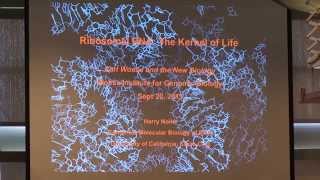 Ribosomal RNA: The Kernel of Life - Harry Noller, University of California, Santa Cruz