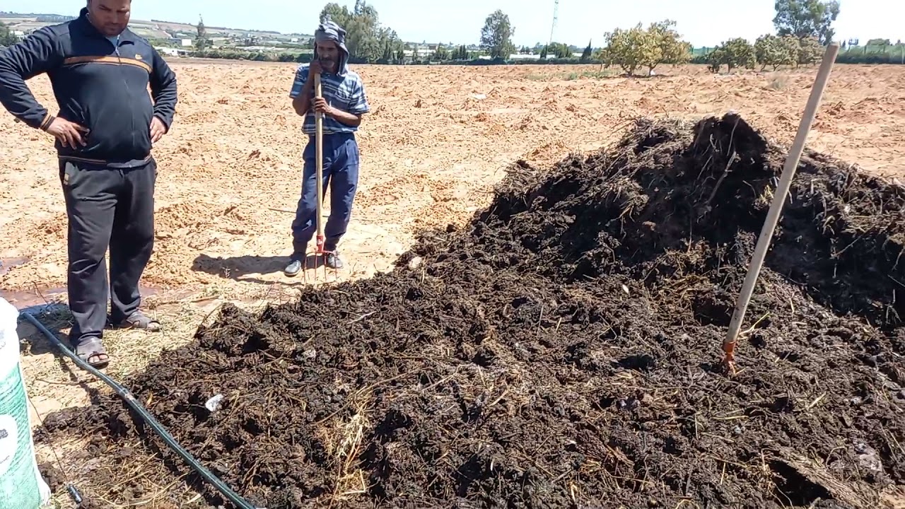 كيف نعالج/نحلل السماد الطبيعي في أقصر مدة ؟ comment décomposer le fumier|compost