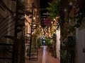 low light | sony zv e10 mark ii sigma 30mm