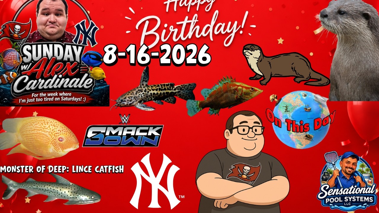 Sunday with Alex Cardinale: August 16th, 2026