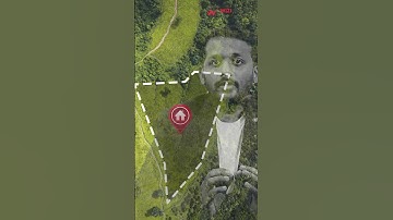 Basics of Website Development Explained in Tamil | Web Design Company in Chennai | Wizi Digital