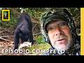Frenesí Alimentario de Alaska | Alaska Salvaje con Les Stroud | Nat Geo en Español