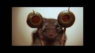 Mousehunt 1997 Teaser Trailer