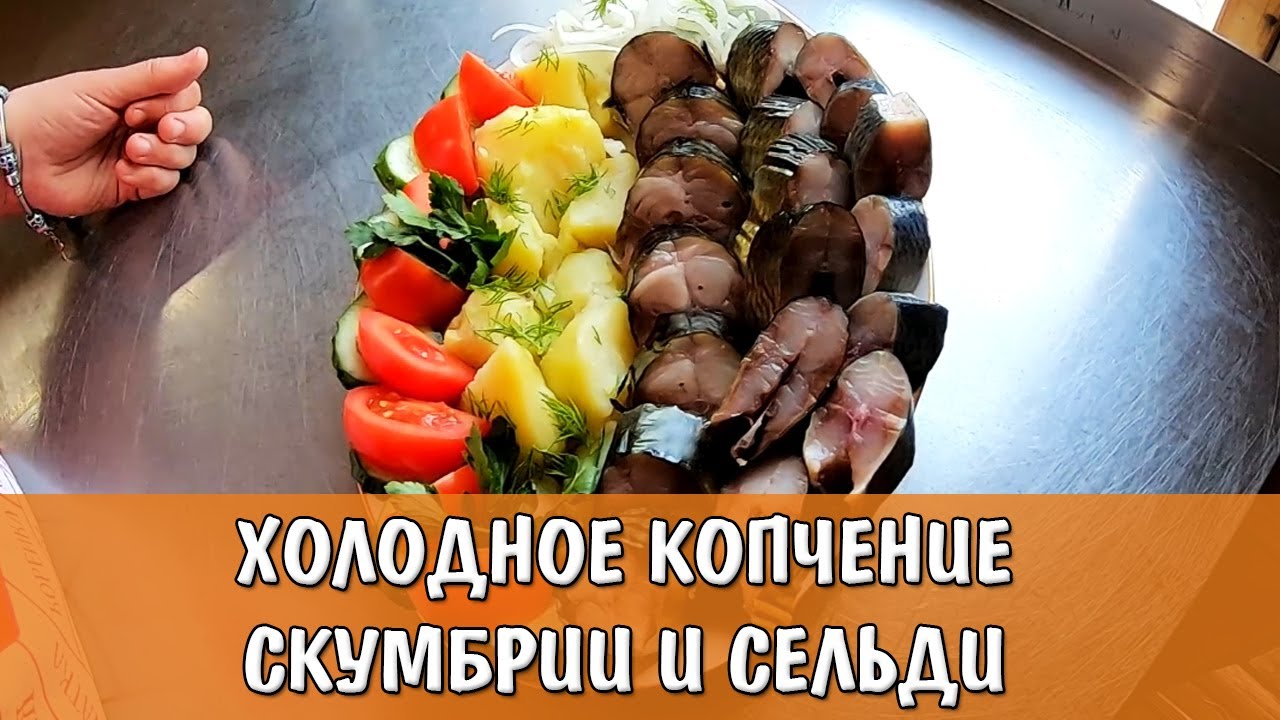 ХОЛОДНОЕ КОПЧЕНИЕ СКУМБРИИ И СЕЛЬДИ. Подробный рецепт