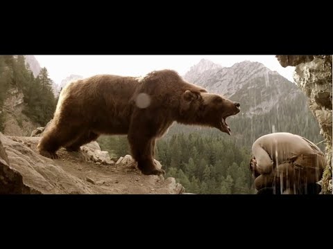 Meilleur Film D'action Complet En Français 2020   l'ours