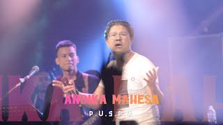 Video thumbnail of "ANDIKA MAHESA - P.U.S.P.A live at PKKH"