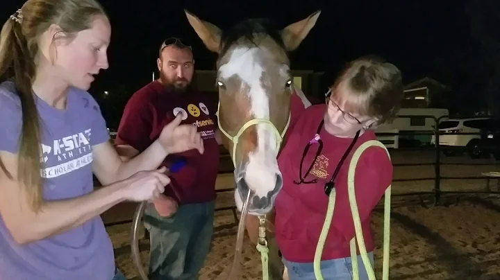 Duke with AZ Equine Dr., Steven, and Debbie Ricket...