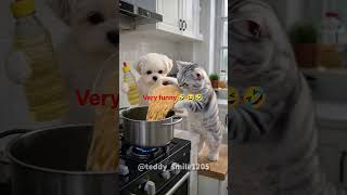 😂🔥 Unbelievable Funny Moment Caught on Camera! | Flow Genius 🎥🐾🤣