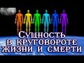 Сущность в круговороте жизни и смерти