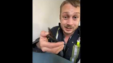 MAXIMUM Plier Set video review by Joshua