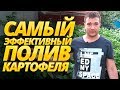 САМЫЙ ЭФФЕКТИВНЫЙ ПОЛИВ КАРТОФЕЛЯ: сроки и как правильно поливать картошку в огороде