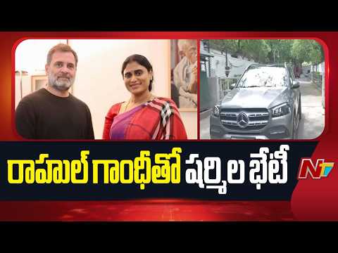 YS Sharmila Meets Rahul Gandhi | NTV Telugu - NTVTELUGU