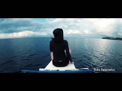 Video: Hướng dẫn du lịch Bohol của Philippines