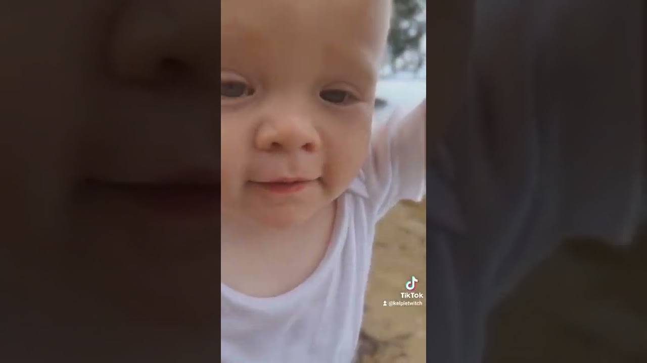 A little Vlog of my dog and baby boy in beautiful Port Stephens