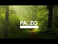 Paŭzo