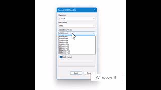 Windows 11 Disk Formatting