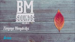 Timmo Hendriks - Aries