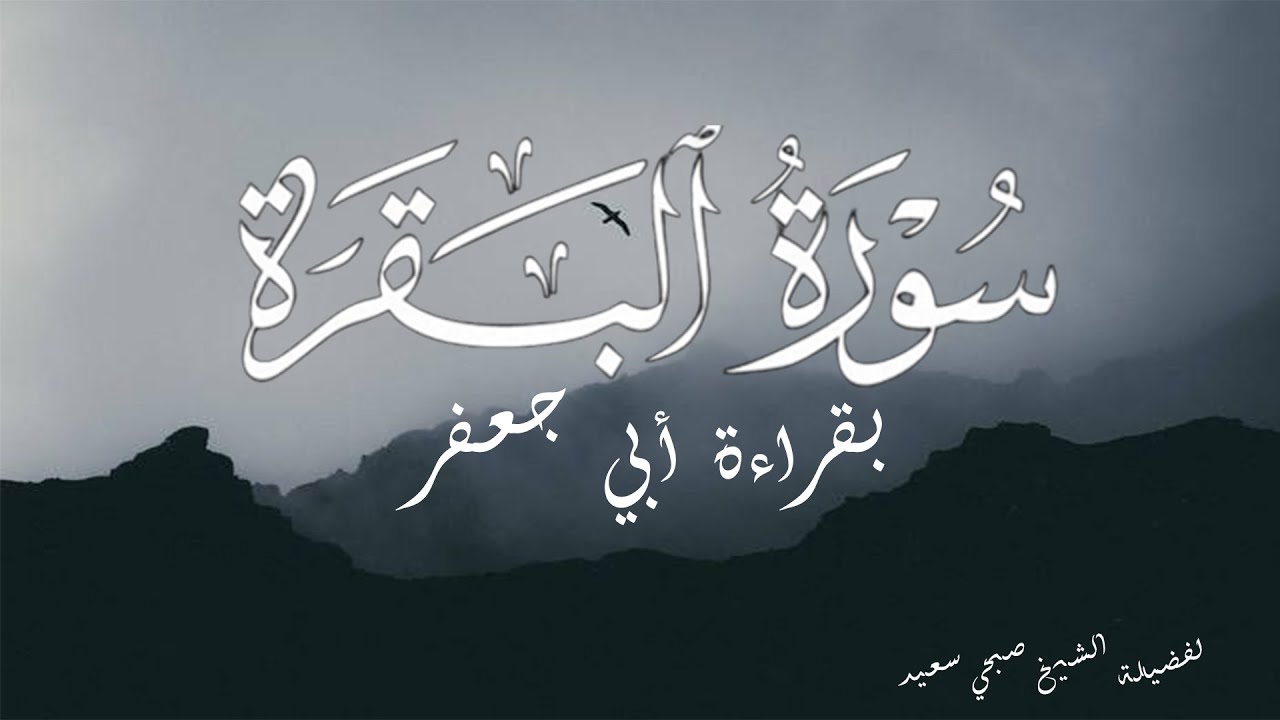 تلاوة هادئة لسورة البقرة بقراءة أبي جعفر | لفضيله الشيخ صبحي سعيد