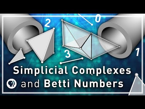 Simplicial Complexes - Your Brain as Math Part 2 | Infinite Series
