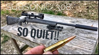 Suppressed 308 How Quiet Is It? Silencer Series Ep 01