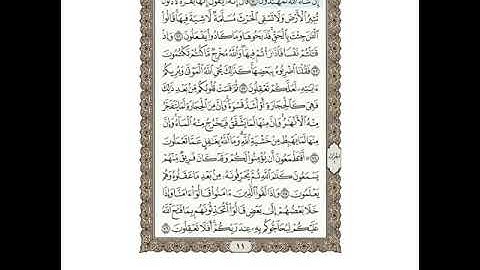 الصفحة 11 من القرآن الكريم - عبد الله بصفر القرآن الكريم